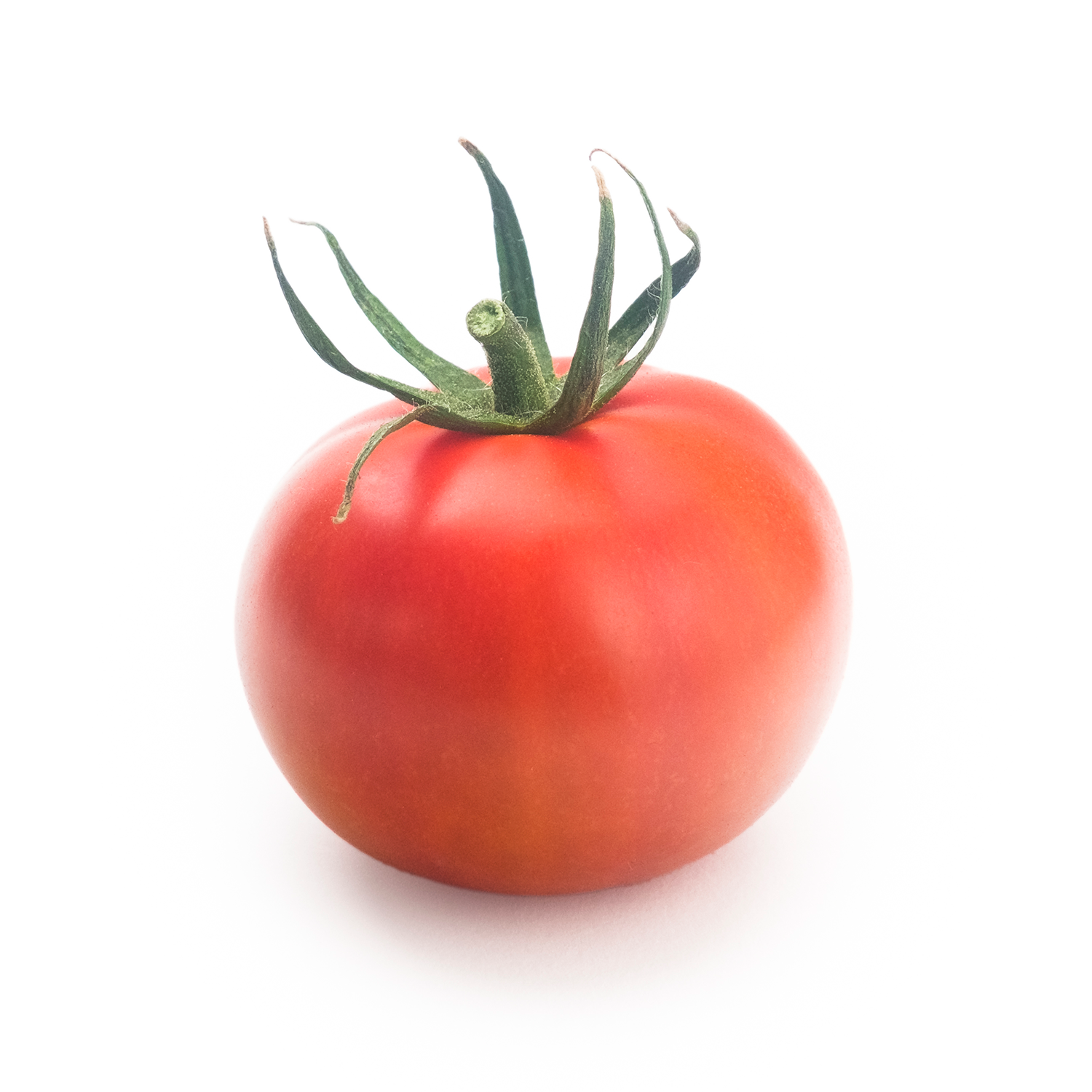 Pieza individual de Tomate Sulayr